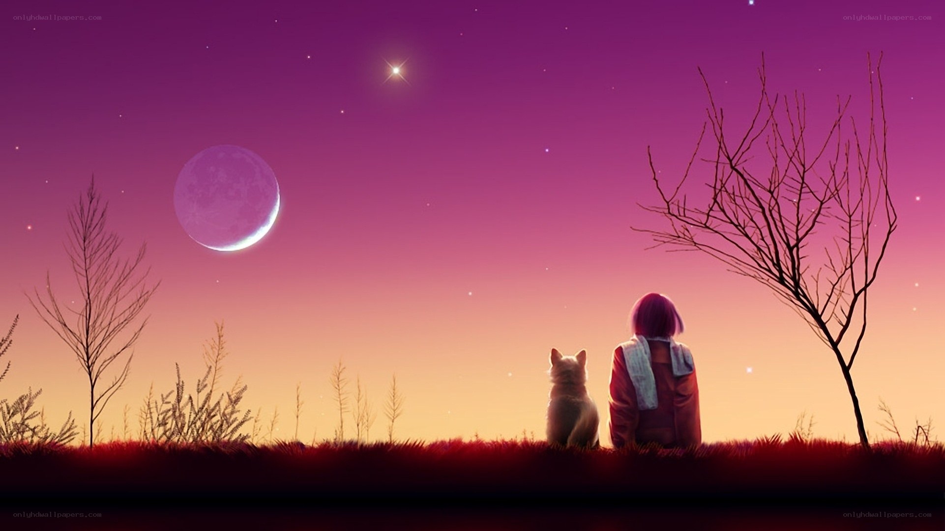 Child and cat under the moon