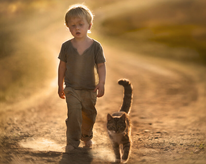 Child and Cat Walking