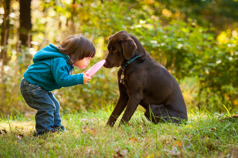 Child and Chocolate Lab