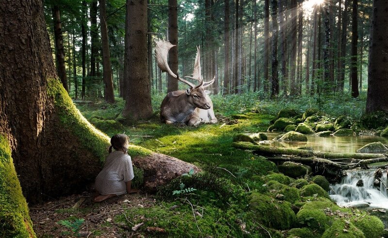 Child and Deer in Forest — Green