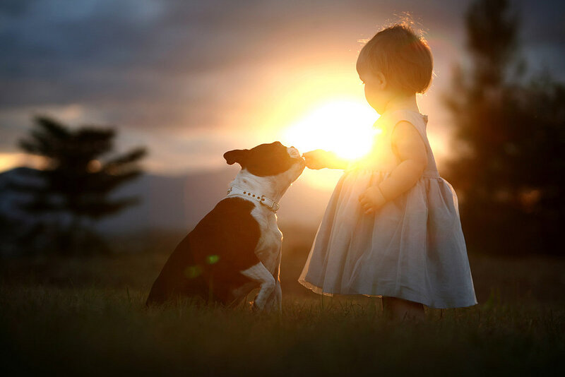 Child and Dog at Sunset — Gold