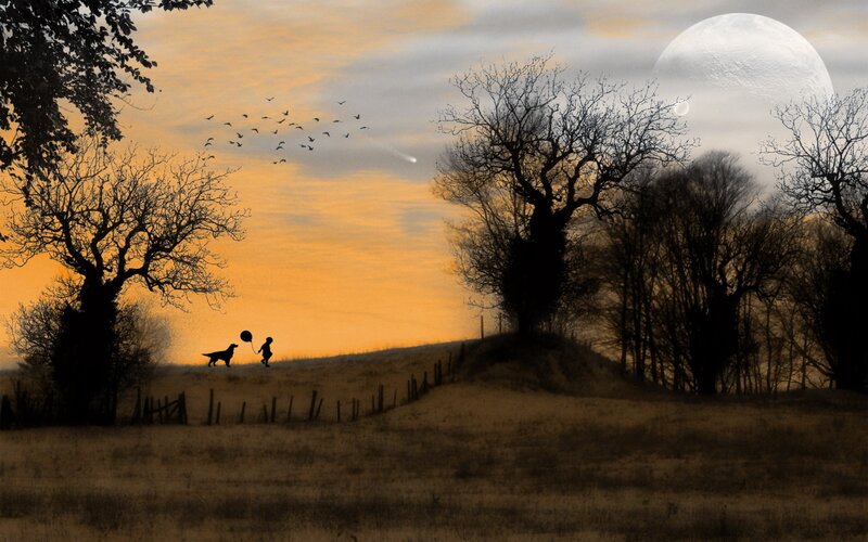 Child and dog at sunset