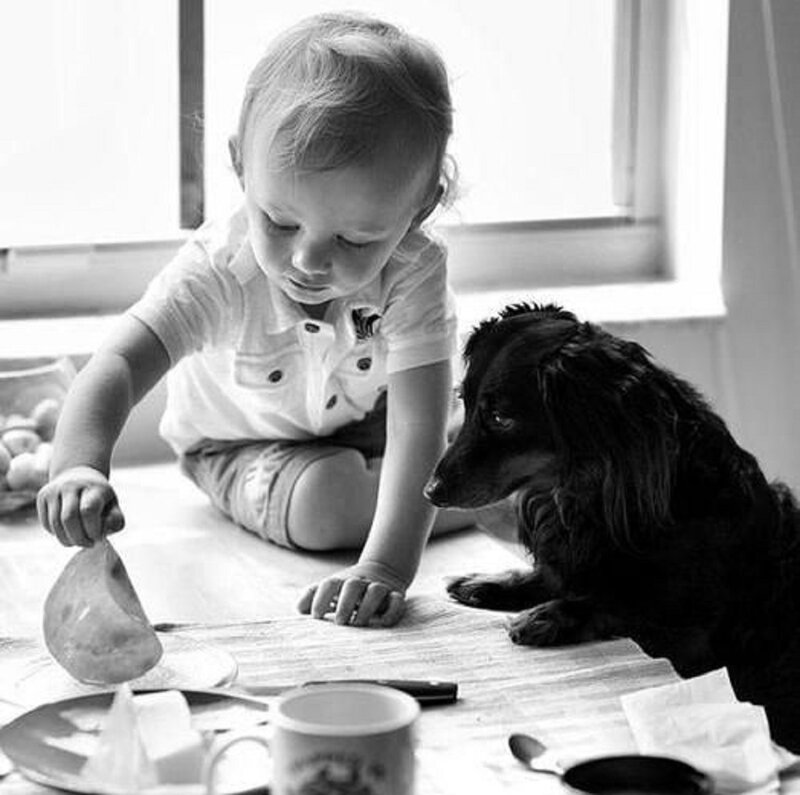 Child and Dog at Table