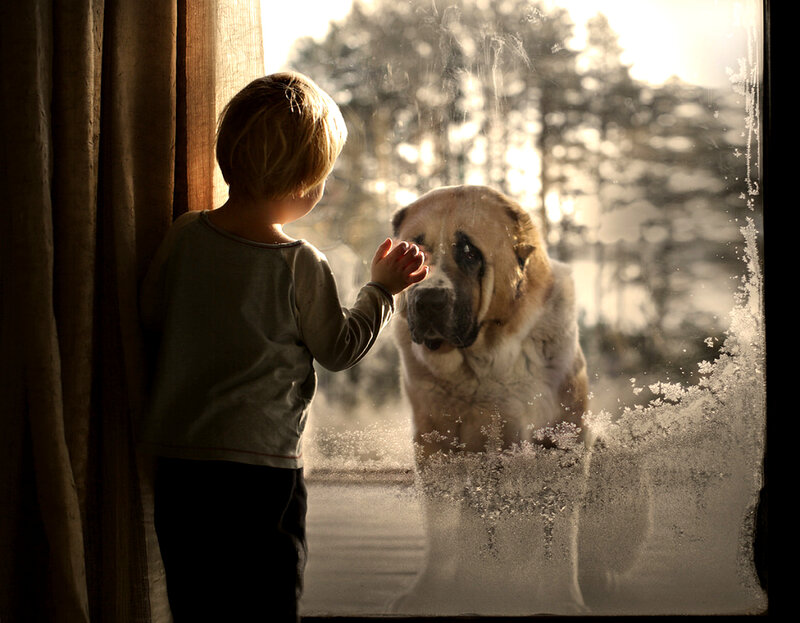 Child and Dog at Window — Brown