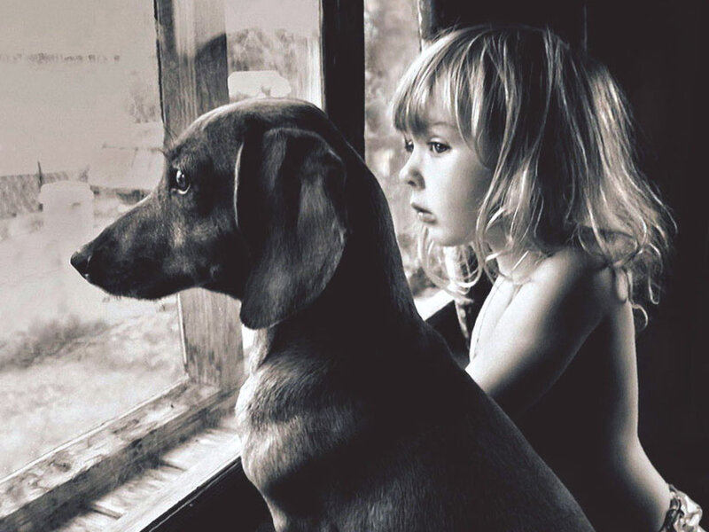 Child and Dog at Window