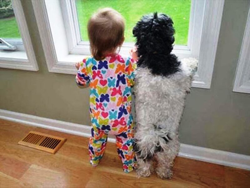 Child and Dog at Window — White