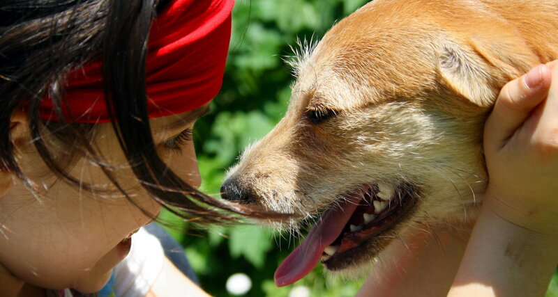 Child and Dog Face-to-face — Brown