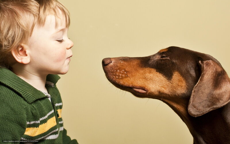 child and dog face to face