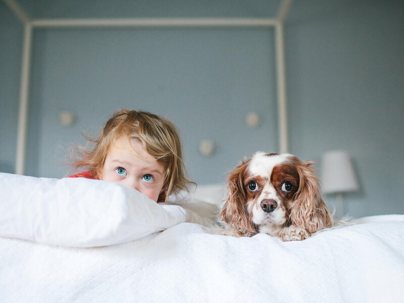 Child and Dog in Bed