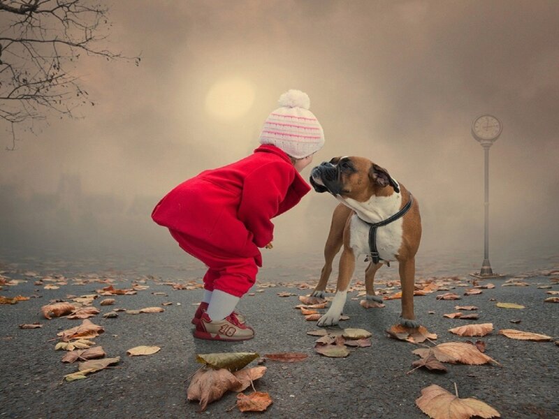Child and Dog in Fog