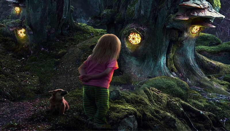 Child and Dog in Forest