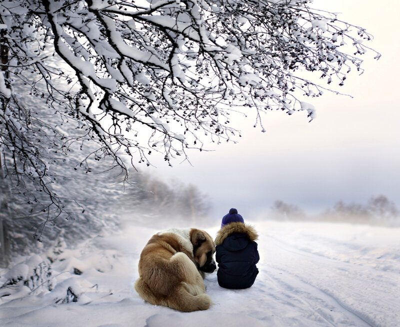 Child and Dog in Snow — White, Cold