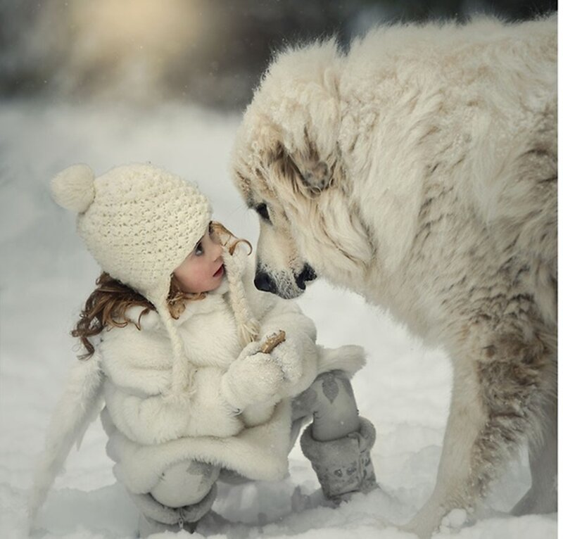 Child and Dog in Snow — White, Peaceful, Winter, Photograph
