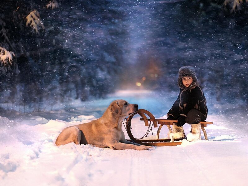 Child and Dog in Snow — White, Serene, Night, Photograph