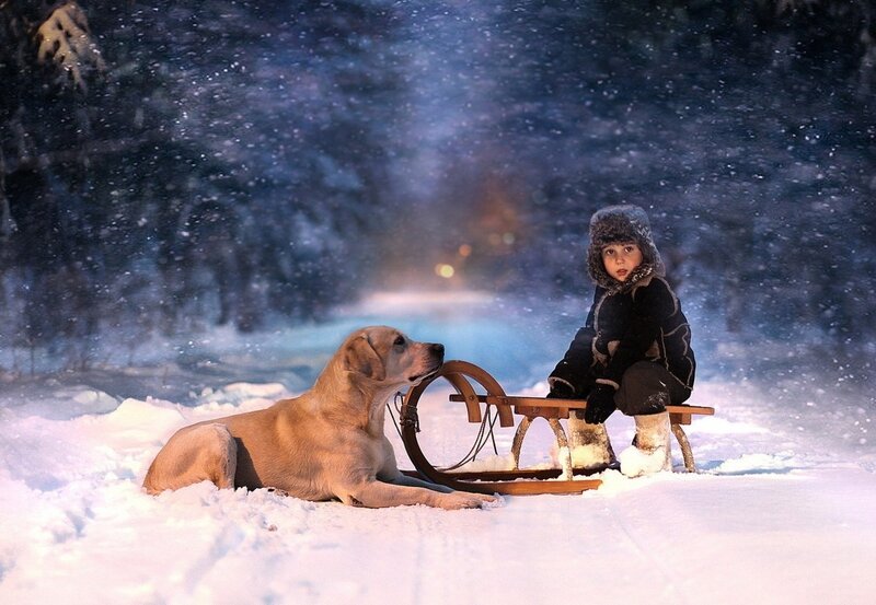 Child and Dog in Snow — White, Serene, Night