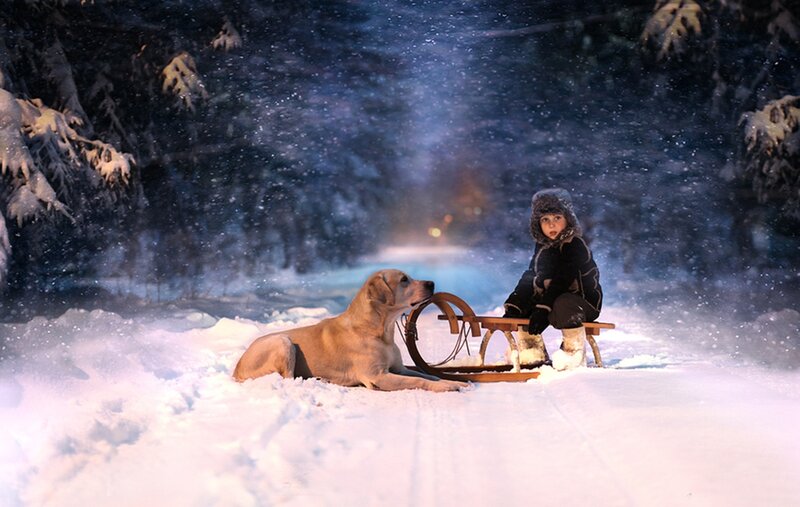 Child and Dog in Snow — White, Serene