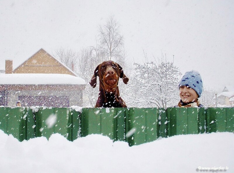 Child and Dog in Snow — White