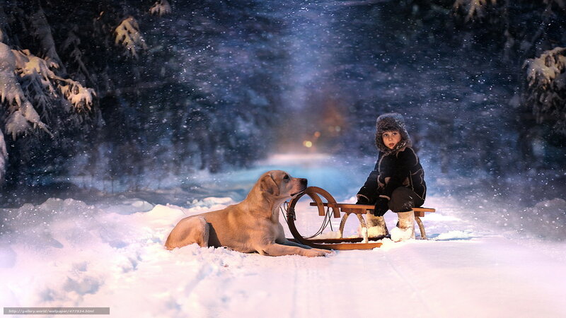Child and dog in snowy forest