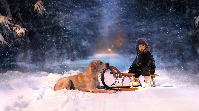 Child and dog in snowy forest