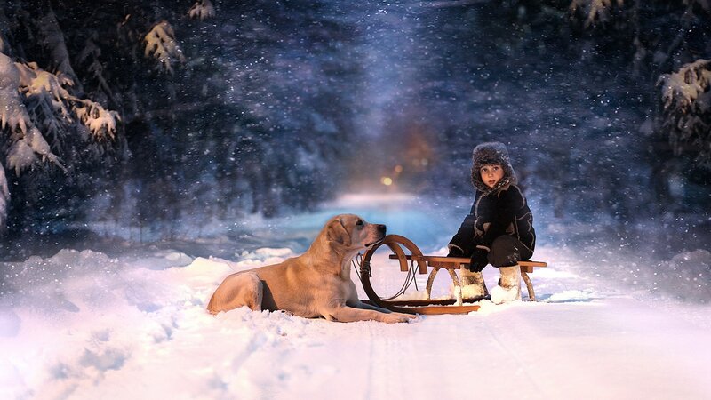 Child and dog in snowy forest