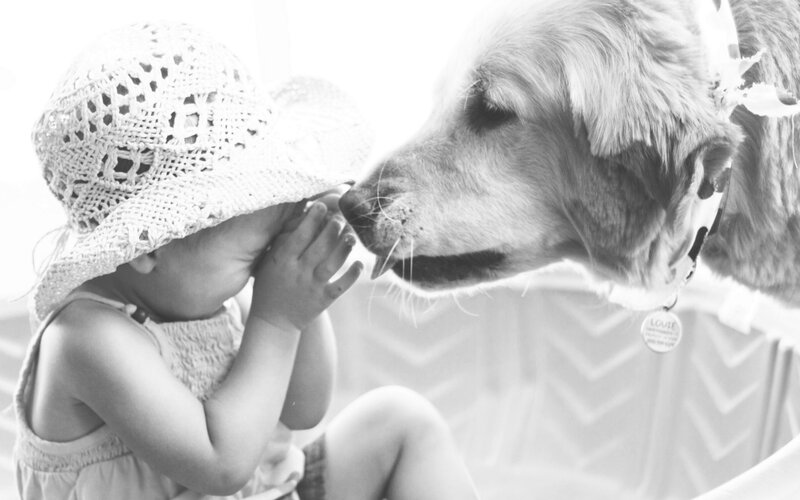 Child and Dog Kissing