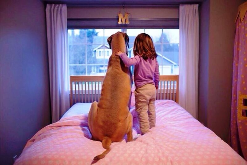 Child and Dog on Bed — Pink