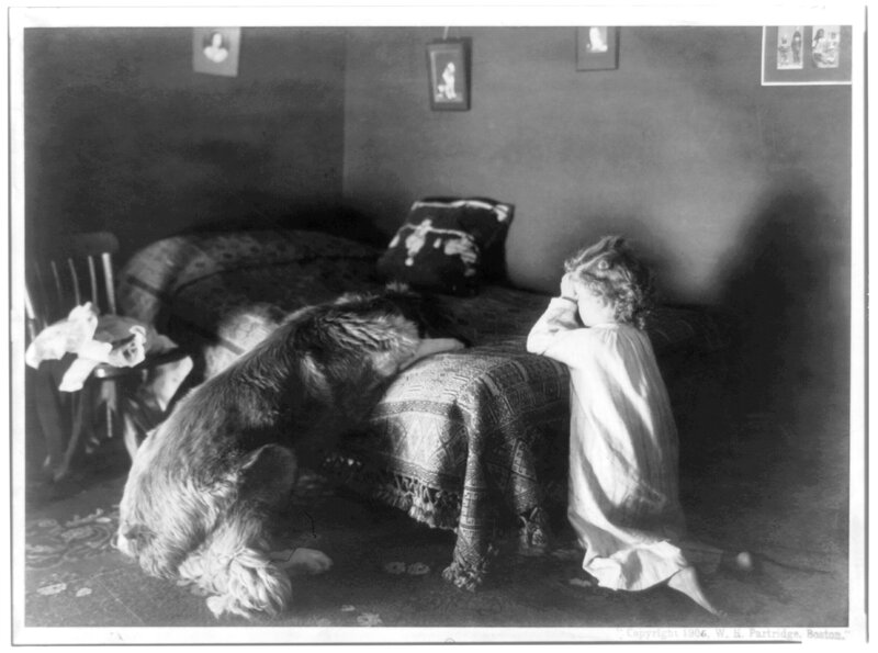 Child and Dog on Bed