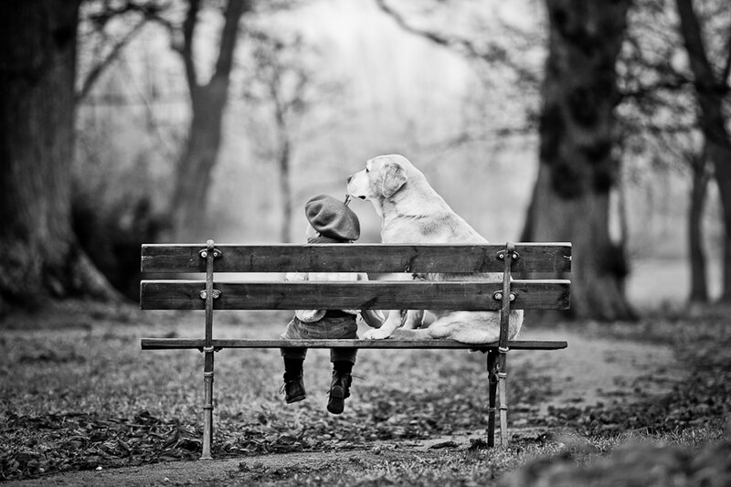 Child and Dog on Bench — Black