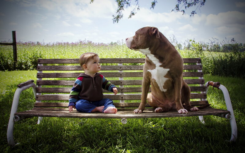 Child and Dog on Bench — Green