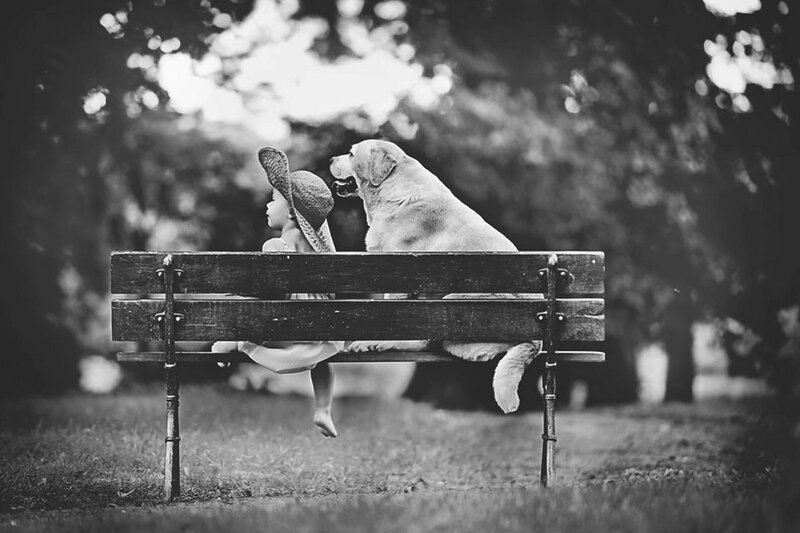 Child and Dog on Bench