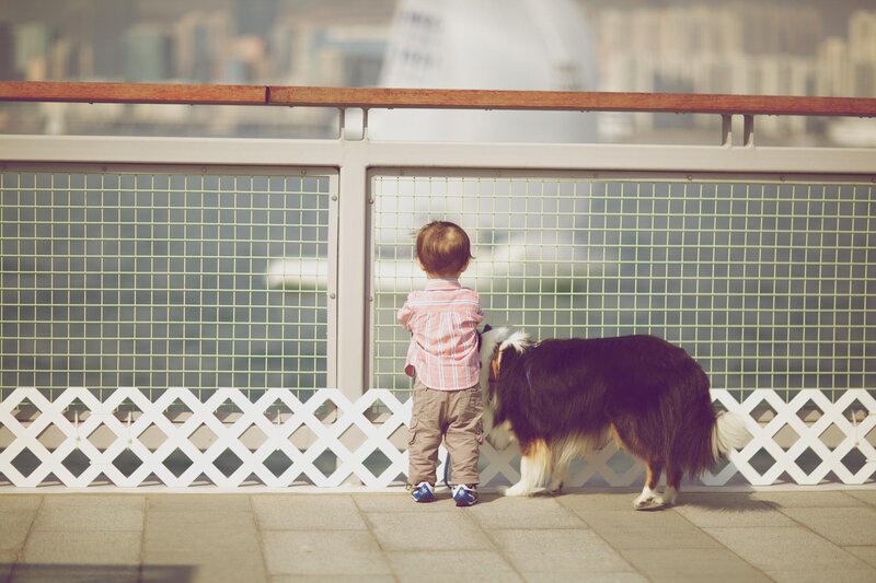 Child and Dog on Bridge