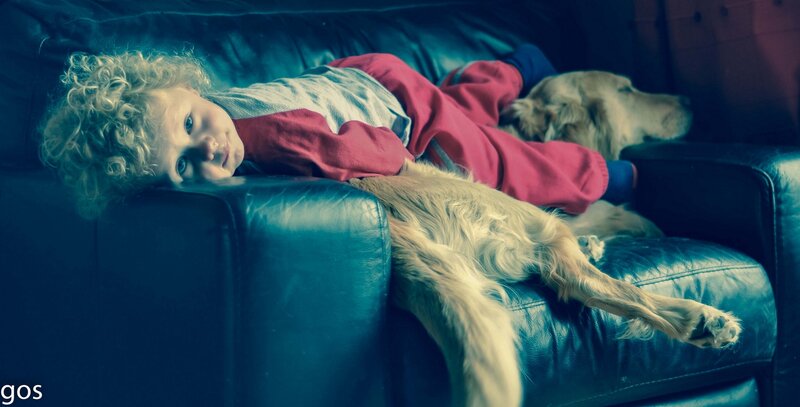 Child and Dog on Couch
