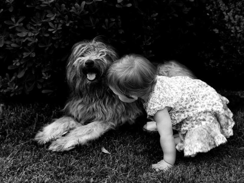 child and dog on grass