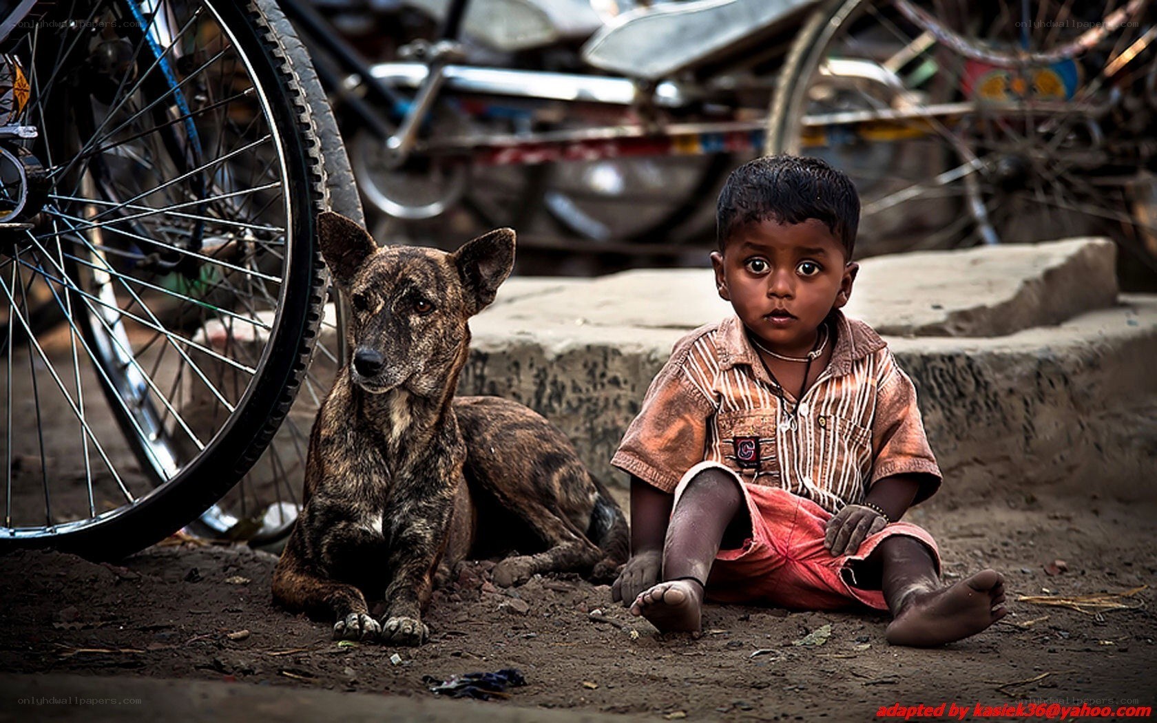 Child and dog on street