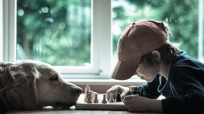 Child and Dog Playing Chess