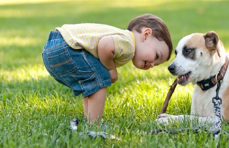 Child and Dog Playing — Green