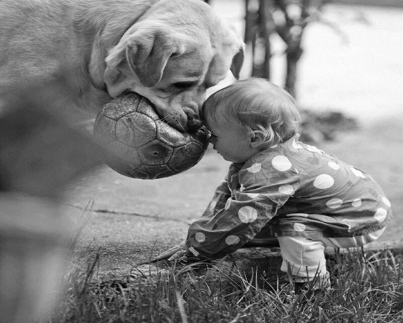 Child and Dog Playing