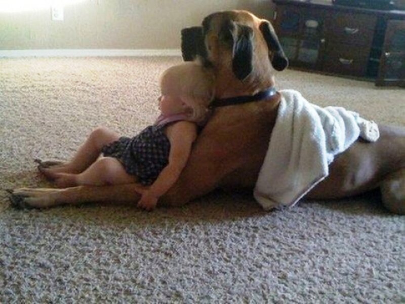 Child and Dog Resting