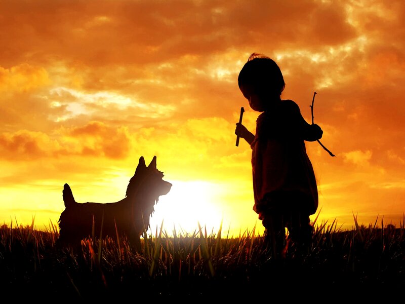 Child and Dog Silhouette — Orange