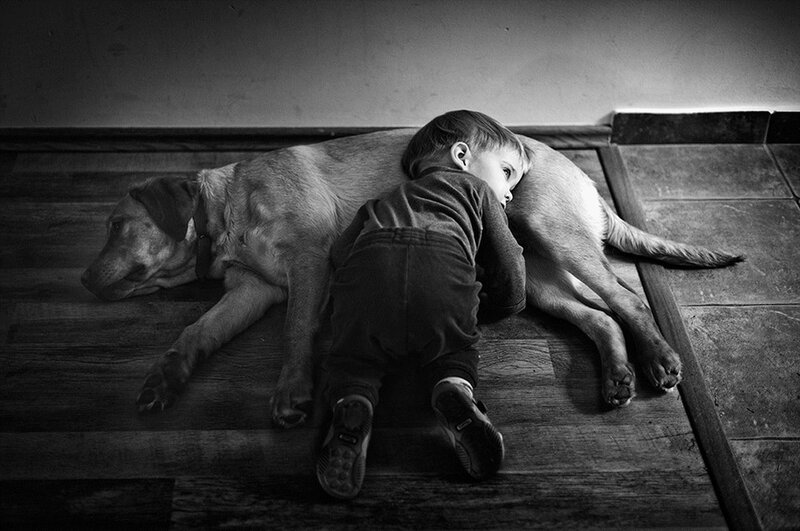 Child and Dog Sleeping