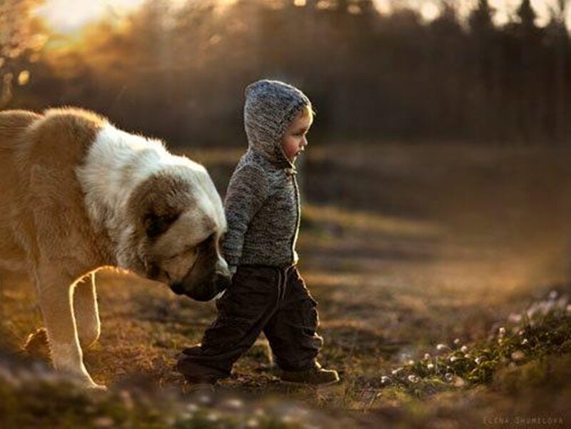 Child and Dog Walking — Brown