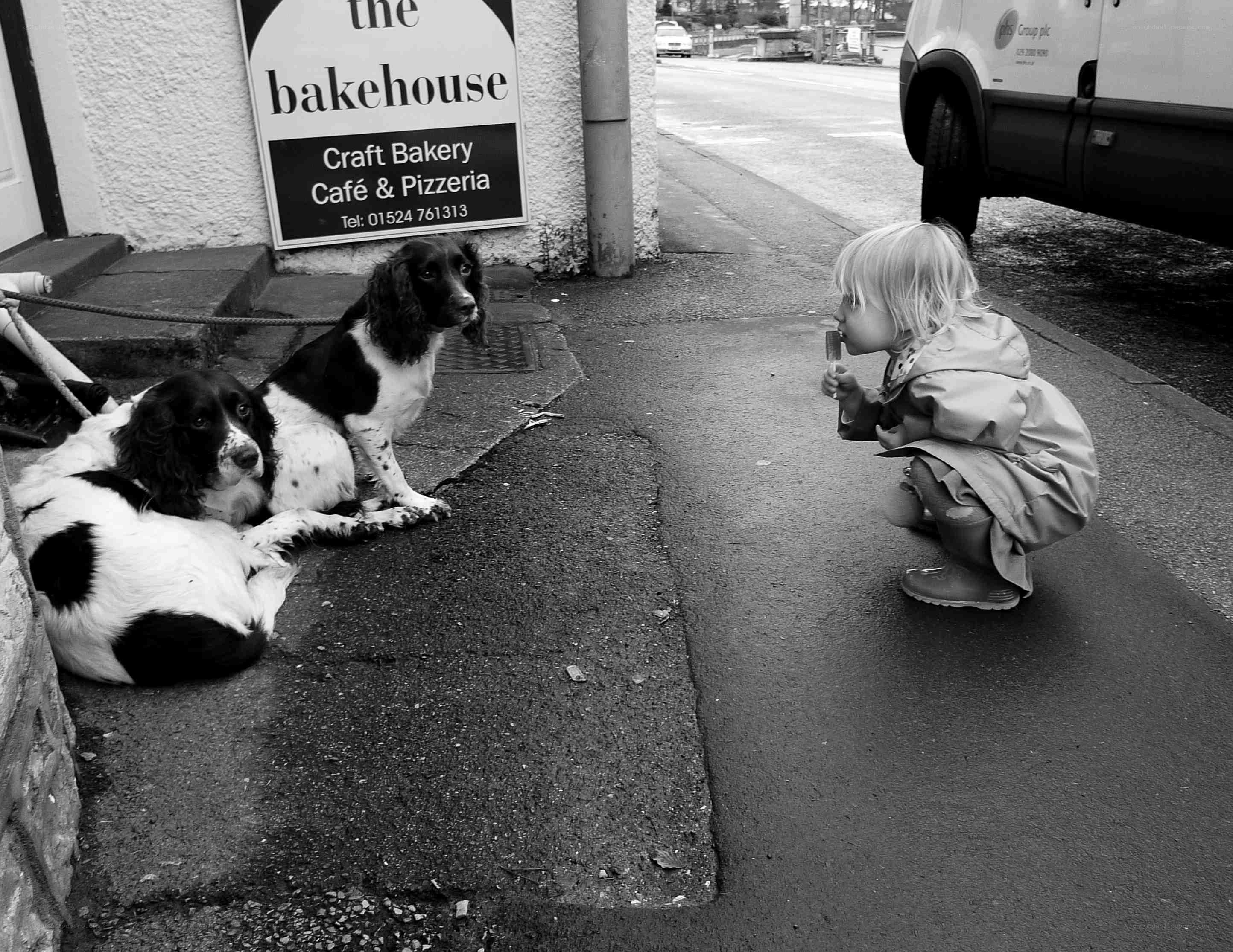 child and dogs on sidewalk