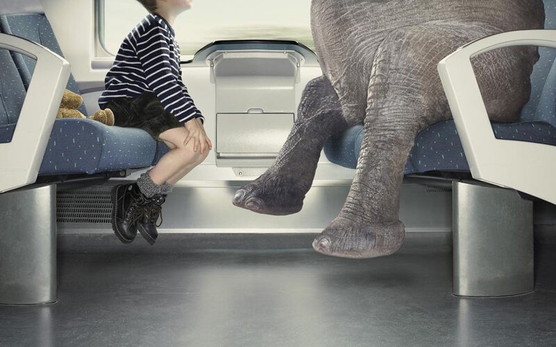 Child and elephant on a train