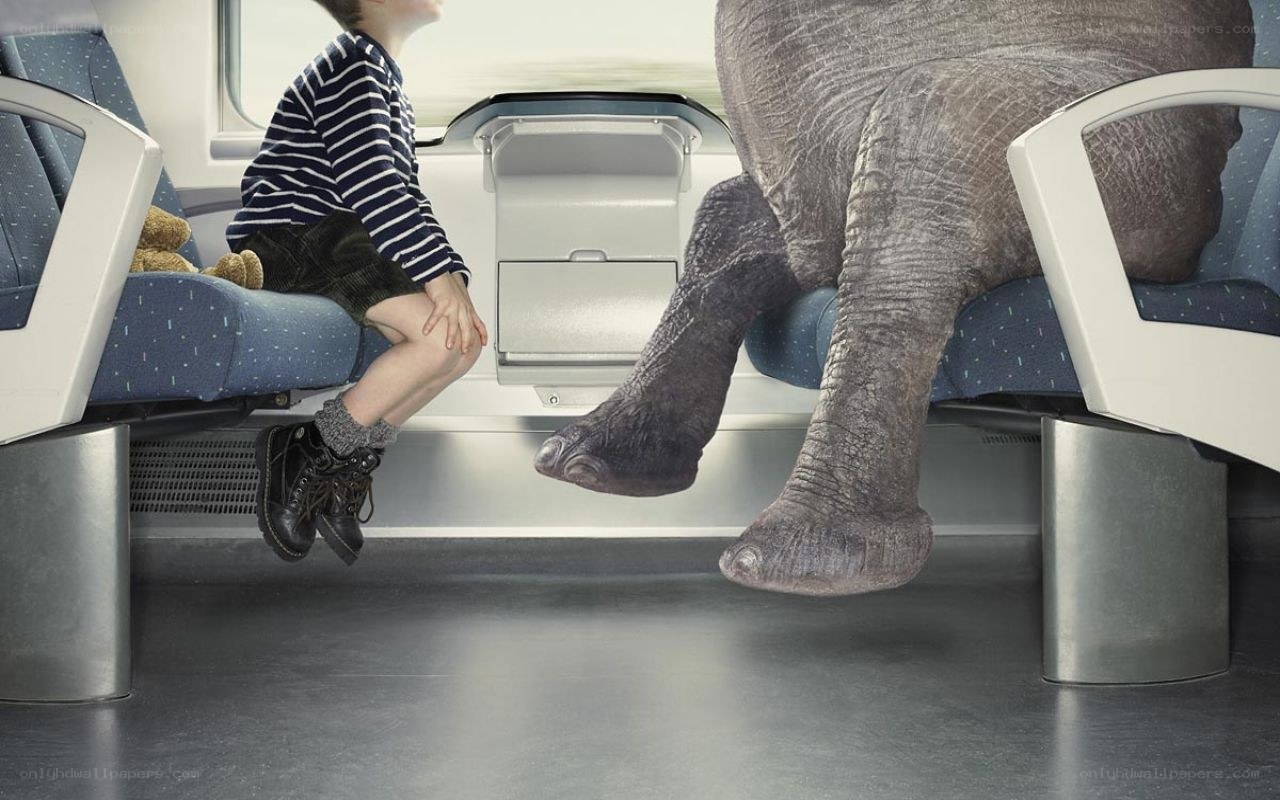 Child and elephant on a train