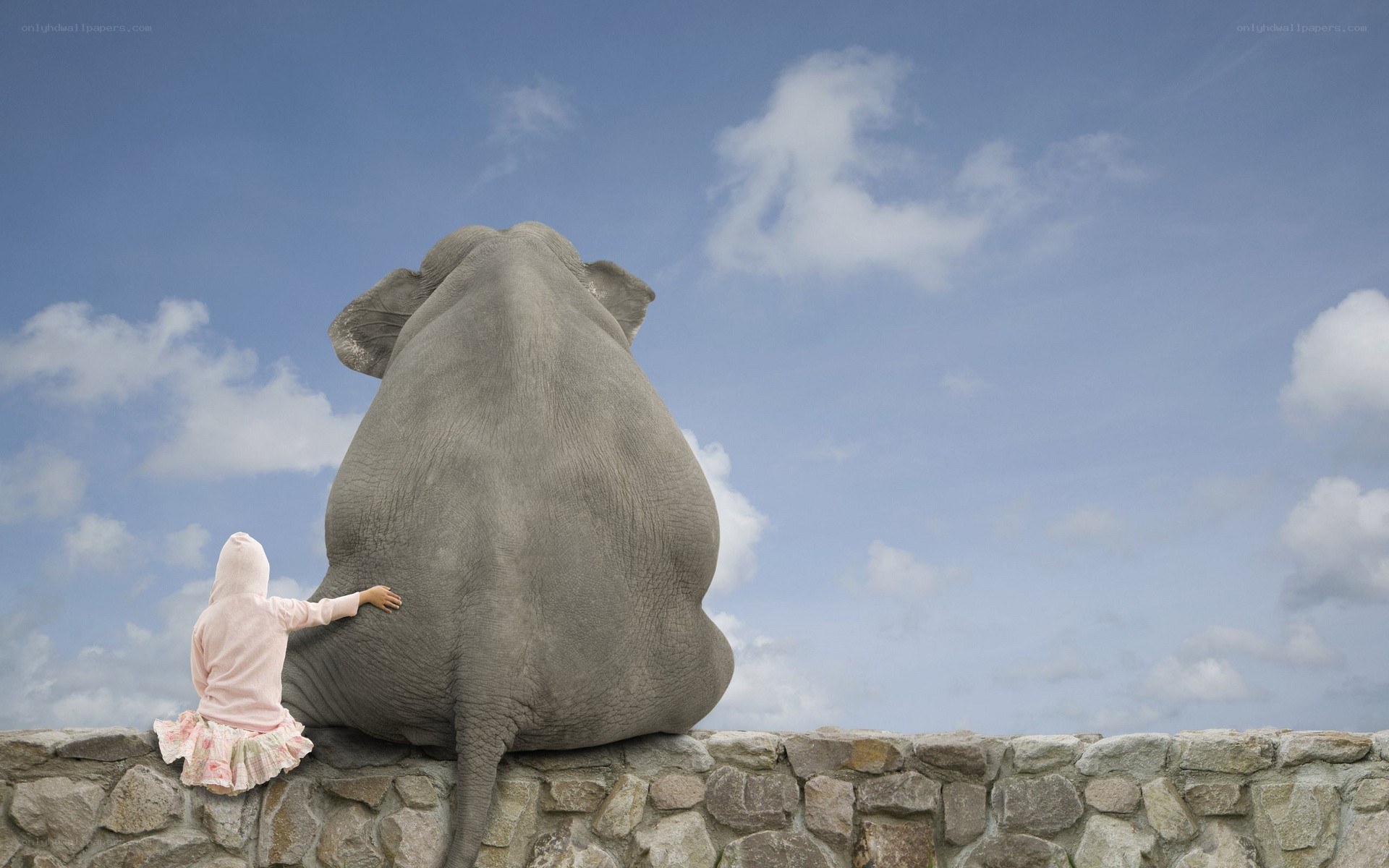 child and elephant on wall