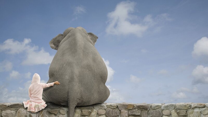 child and elephant on wall