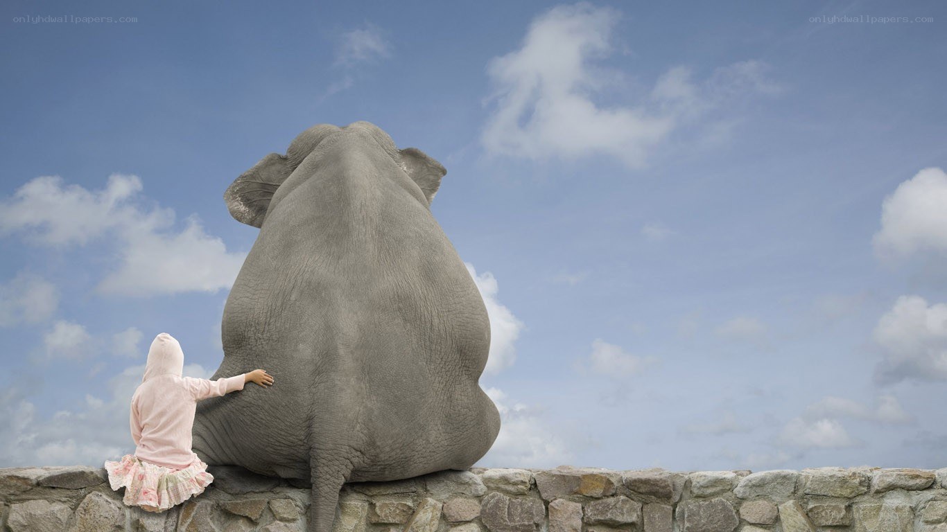 child and elephant on wall