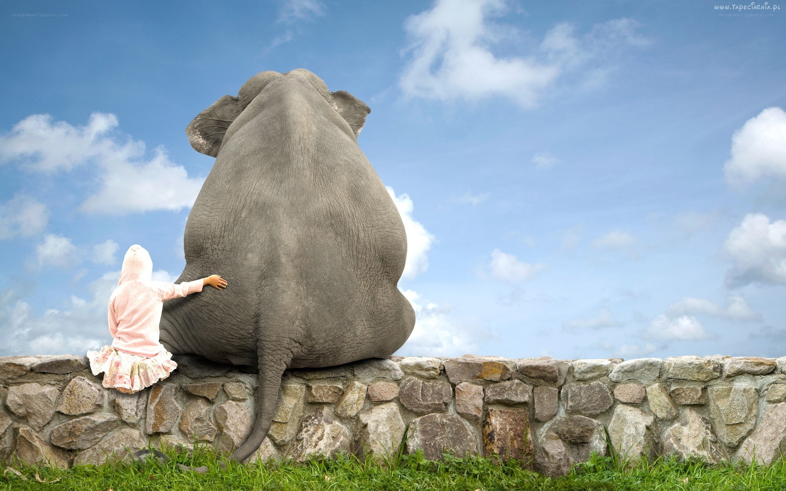 child and elephant on wall
