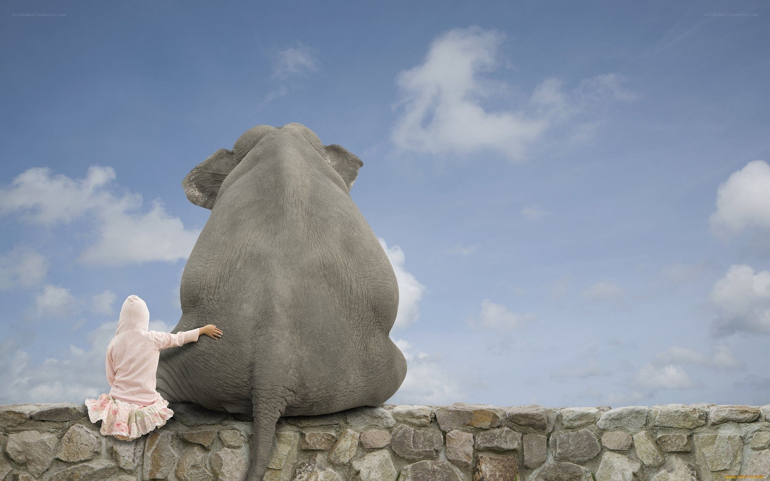 child and elephant on wall