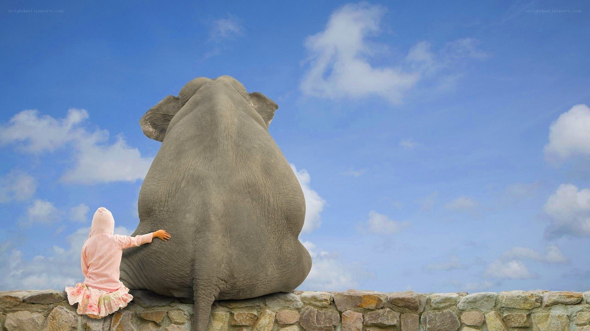 child and elephant on wall